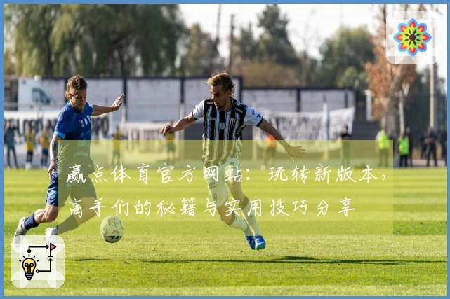 赢点体育官方网站：玩转新版本，高手们的秘籍与实用技巧分享