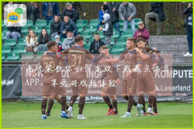 老玩家教你如何高效下载赢点体育APP，享受游戏新体验