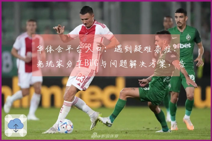 华体会平台入口：遇到疑难杂症？老玩家分享BUG与问题解决方案，告别卡顿烦恼