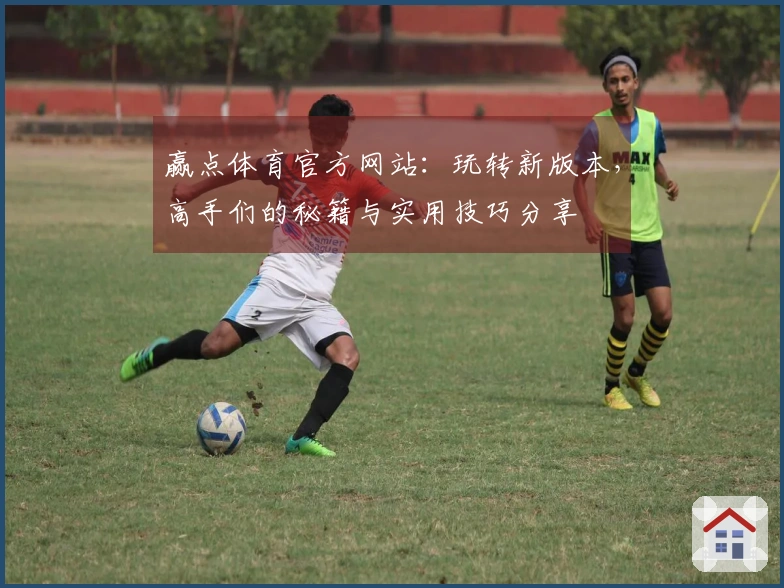 赢点体育官方网站：玩转新版本，高手们的秘籍与实用技巧分享