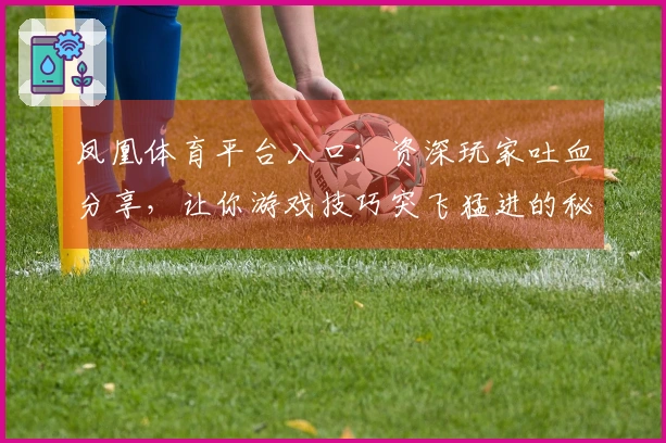 凤凰体育平台入口：资深玩家吐血分享，让你游戏技巧突飞猛进的秘密武器