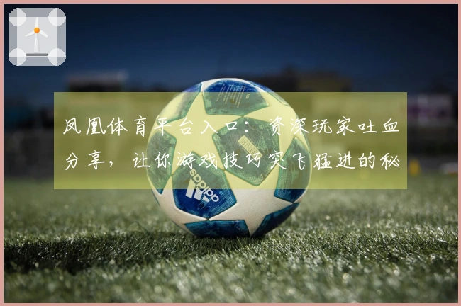 凤凰体育平台入口：资深玩家吐血分享，让你游戏技巧突飞猛进的秘密武器